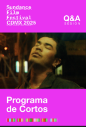 SFF Sesión Q&A Programa de Cortos