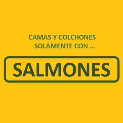 Logotipo - Casa Salmones