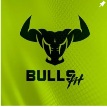 Logotipo - BullsFit
