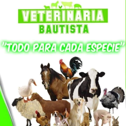 Logotipo - Veterinaria Bautista