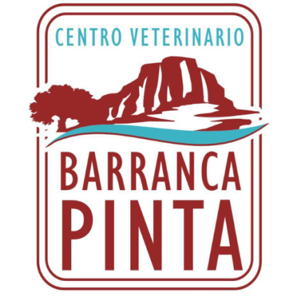 Logotipo - Barranca pinta