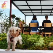 Restaurante pet friendly en Puebla  - Gru Grú Restaurante