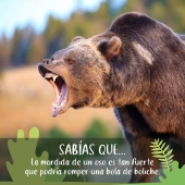 Zoológicos en Puebla - Zoo Parque Loro