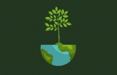  - Ecorgánico - Soluciones Ecológicas Puebla