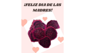  - DESHIDRATADOS DEL CAMPO