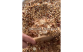  - GRANOLA GOURMET 