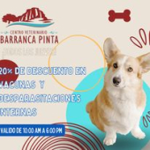  - Barranca pinta