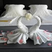  - Auto Hotel Flamingos San Miguel