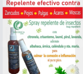  - Herencia Herbal 79