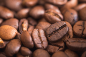  - Café Señorial