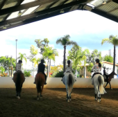  - Centro Ecuestre Babieca