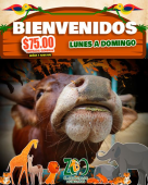  - El Club de los Animalitos