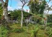  - Ecoturismo El Quetzal