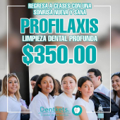  - Dentkets