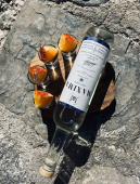  - MEZCAL MAXIMA