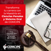  - Colegio Minimalista de Ciencias Penales - COMCIPE