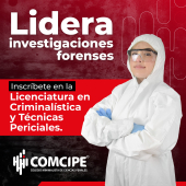  - Colegio Minimalista de Ciencias Penales - COMCIPE