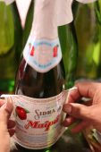  - Sidra Santa Cruz