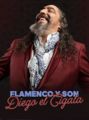 Diego el Cigala en Puebla