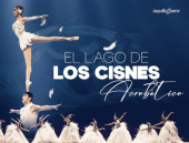 El Lago de los Cisnes Acrobático en Puebla