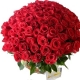 Florart - Arreglos Florales