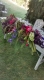 Arreglos florales para eventos