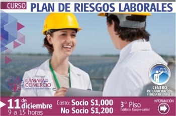 Explicar el proceso de diseño, elaboración y control de Plan de Riesgos laborales.
   -Describir lo...