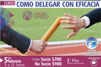 Objetivo: Explicar la delegación de autoridad en los procesos administrativos de la empresa a fin de...