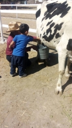 Ordeñando una vaca!! - Granja Didáctica El Ranchito - Puebla