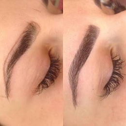 Microblading técnica pelo a pelo para unas cejas perfectas y con apariencia natural. - Sani Spa - En...