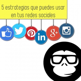 5 estrategias que debes usar en tus redes sociales - Monkey & Banana - Marketing Solutions - Puebla