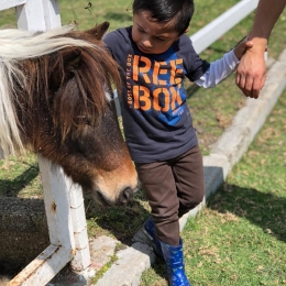 Además: 1 caballerango para paseos en pony
Alimento para los animalitos
3 horas de diversión - Gra...