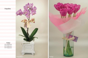 Orquídeas o Tulips para  regalar el 10 de mayo - Florería Magenta - Puebla