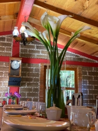 Cabañas Entre Pinos - Puebla