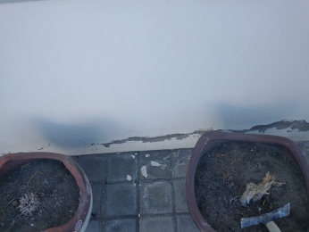 Ingenia Soluciones - Puebla