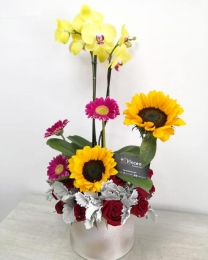 Vincent Boutique Floral - Puebla