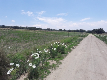 INDACERCA 