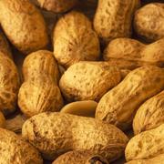 Cacahuate por Kilo - Frescos de Excelencia Venta de Frutas y Verduras - Puebla