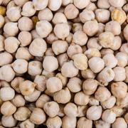 Garbanzo - Frescos de Excelencia Venta de Frutas y Verduras - Puebla