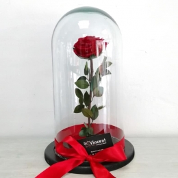 Vincent Boutique Floral - Puebla