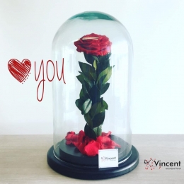 Vincent Boutique Floral - Puebla