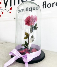 Vincent Boutique Floral - Puebla