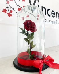 Vincent Boutique Floral - Puebla