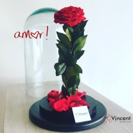 Vincent Boutique Floral - Puebla