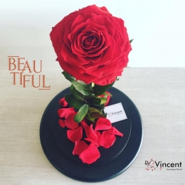 Vincent Boutique Floral - Puebla