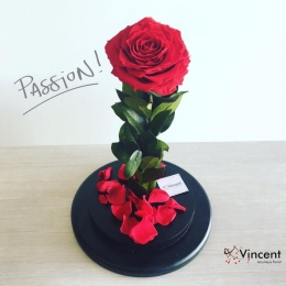 Vincent Boutique Floral - Puebla