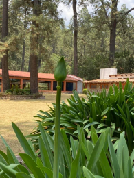 Cabañas Entre Pinos - Puebla