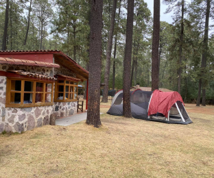 Cabañas Entre Pinos - Puebla