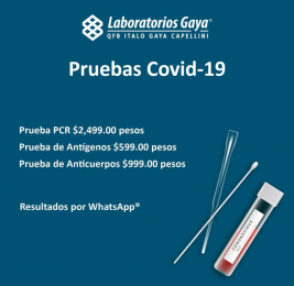 Laboratorios Gaya QFB Italo Gaya Capellini - Puebla