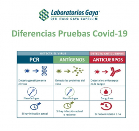 Laboratorios Gaya QFB Italo Gaya Capellini - Puebla